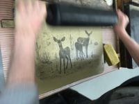mule deer lithograph
