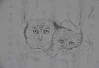 making of an etching - two owls