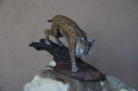 bronze sculpture of bobcat