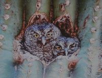 joerg auer etching aquatint owls