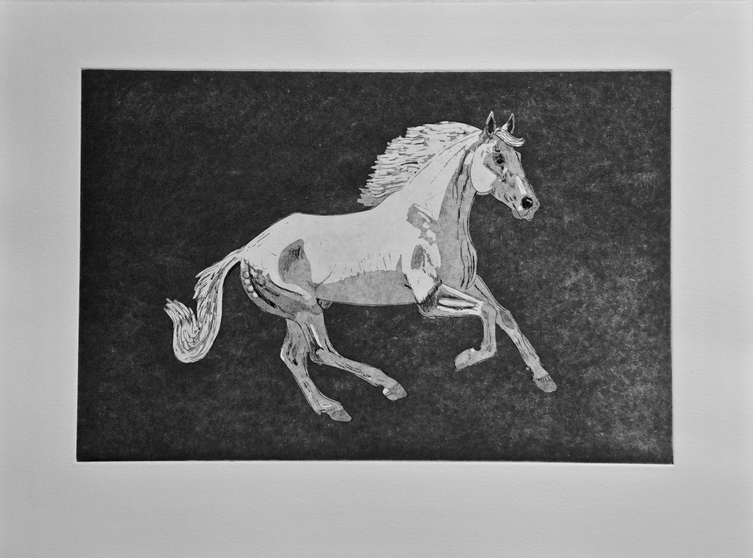 Canter in Gray